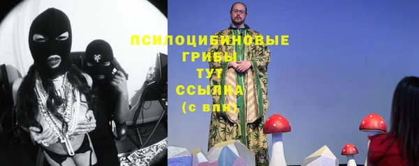 прущие крисы Беломорск