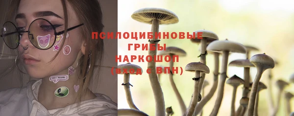 стаф Белокуриха