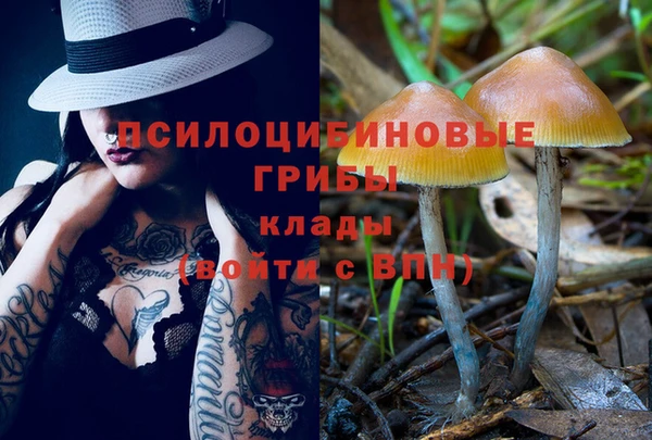 стаф Белокуриха